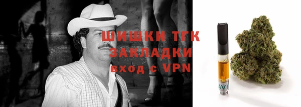 винт Няндома