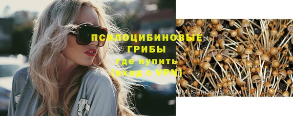 спиды Билибино