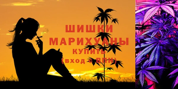 винт Няндома