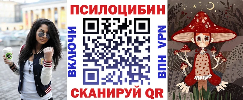 где найти наркотики  площадка официальный сайт  Галлюциногенные грибы Cubensis  Янаул 